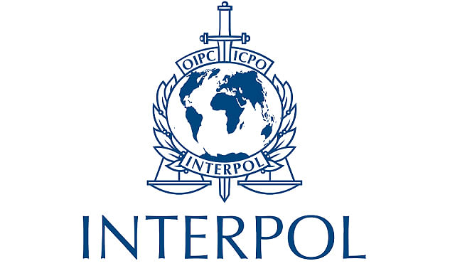 Interpol logo