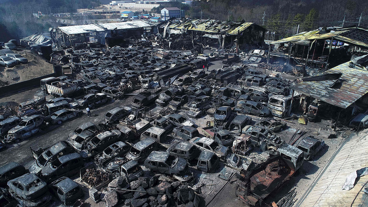 Scrapped vehicles burnt by a forest fire are seen at an auto junkyard in Sokcho on 5 April, 2019. A giant forest fire swept across swathes of South Korea, as authorities declared a rare national emergency, deploying 900 fire engines and tens of thousands of personnel to bring it under control. Photo: AFP
