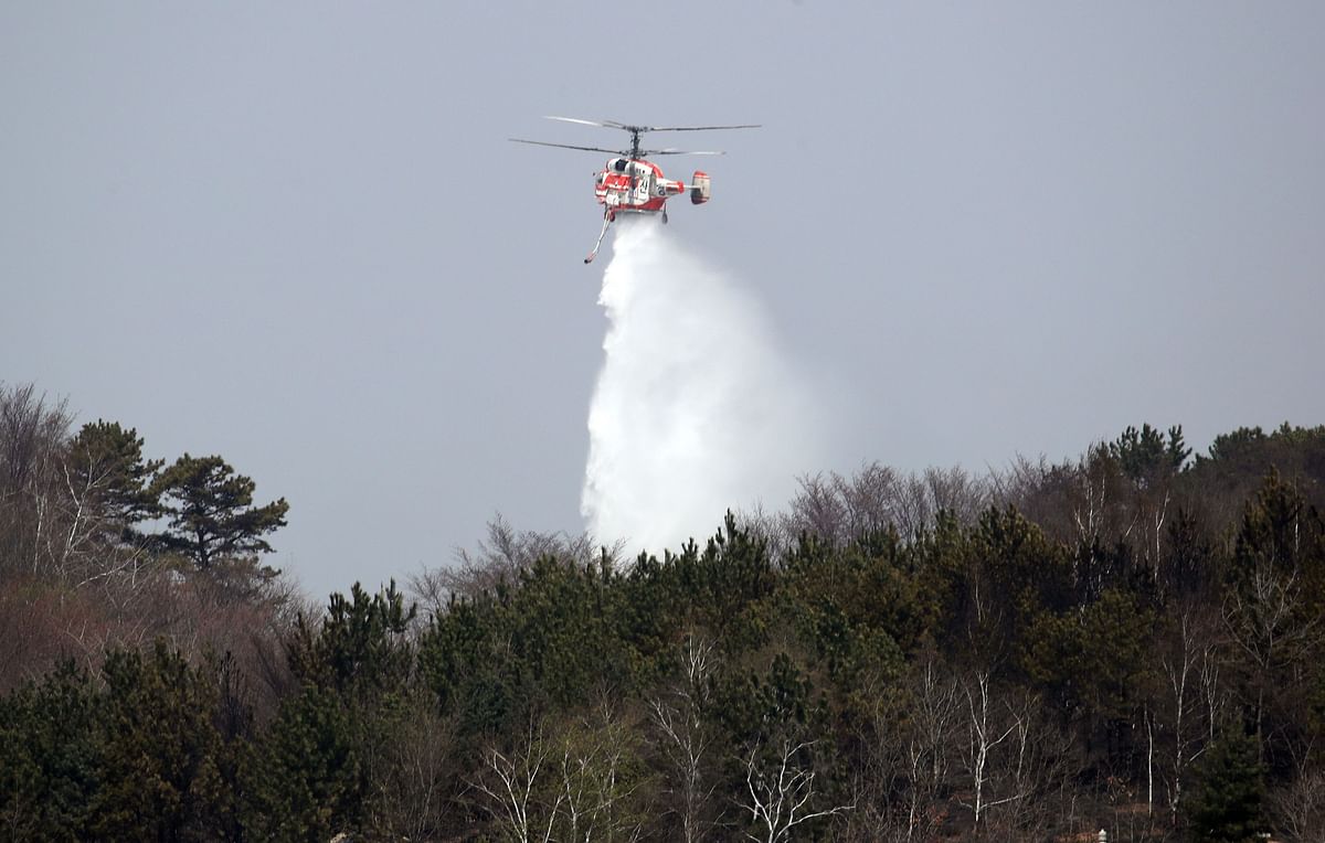 A firefighting helicopter helps to put out a forest fire in Sokcho on 5 April, 2019. Photo: AFP