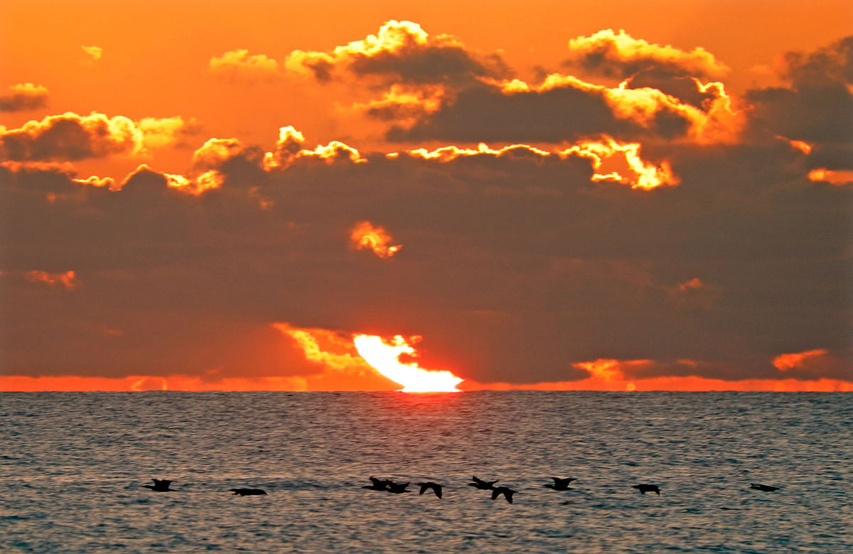 The sun rises over the Atlantic Ocean beyond a flock of Pelicans near Playalinda Beach, near the Kennedy Space Center in Florida, on 11 April 2019. Photo: AFP