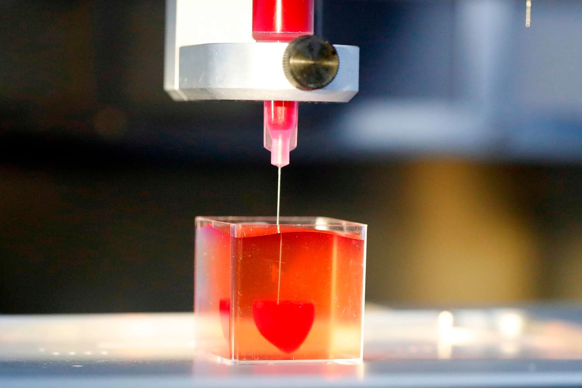 This photo taken on 15 April 2019 at the University of Tel Aviv shows a 3D print of heart with human tissue. Scientists in Israel on Monday unveiled a 3D print of a heart with human tissue and vessels, calling it a first and a `major medical breakthrough` that advances possibilities for transplants. Photo: AFP