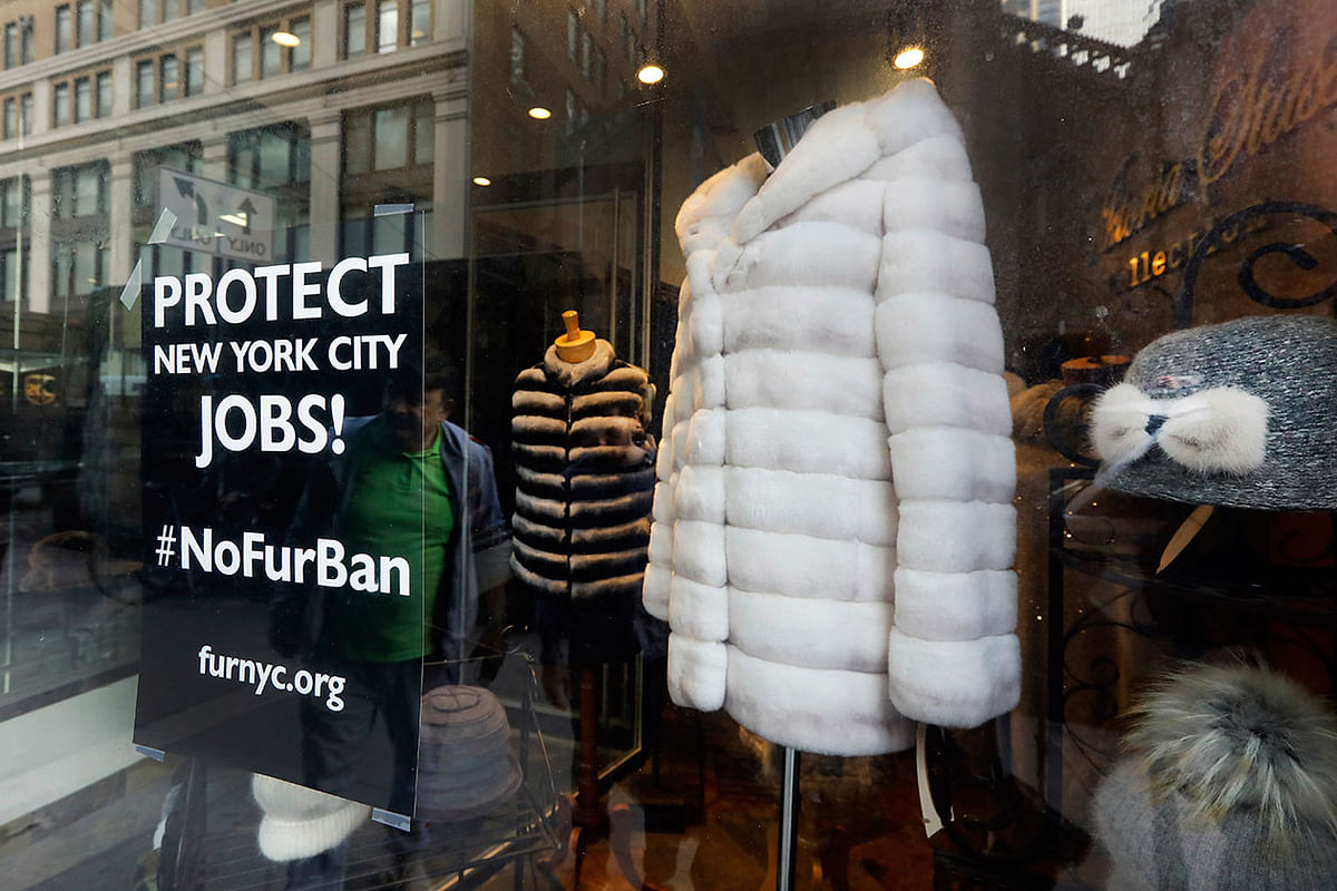 This 10 April 2019, photo shows a sign by furnyc.org in the window of Victoria Stass Collection in New York`s fur district. The fur trade is considered so important to New York’s development that two beavers adorn the city’s official seal, a reference to early Dutch and English settlers who traded in beaver pelts. Photo: AP