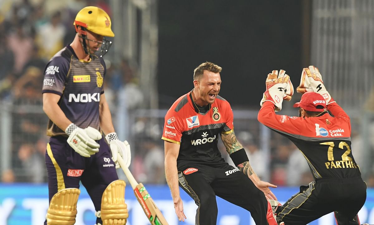 Royal Challengers Bangalore`s cricketer Dale Steyn (C) celebrates after taking the wicket of Kolkata Knight Riders` Chris Lynn during the 2019 Indian Premier League (IPL) Twenty 20 cricket match between Kolkata Knight Riders and Royal Challengers Bangalore at the Eden Gardens Cricket Stadium in Kolkata on 19 April 2019. Photo: AFP