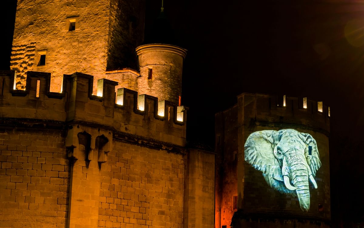 A animal`s image adorns the wall of La Porte des Allemands during a video mapping instalation of endangered species `Crying animals` by French artist Julien Nonnon on 29 April 2019 in Metz, eastern France. The video mapping is visible on six buildings of the city from 26 April to 10 May as part of the G7 environment to be held on 7 and 8 May. Photo: AFP
