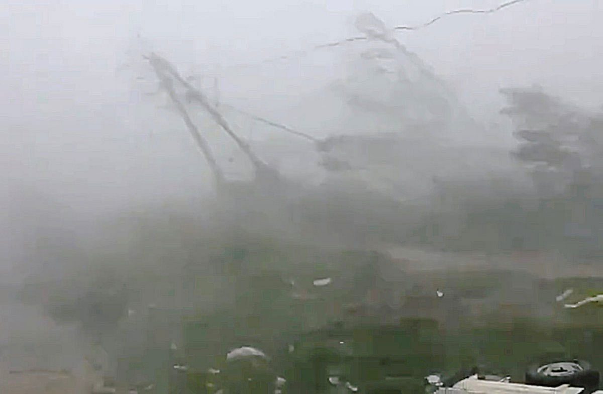A strong wind blows trees and an electric pole during Cyclone Fani in Bhubaneswar, Odisha, India on 3 May 2019 in this still image taken from a video obtained from social media. Reuters