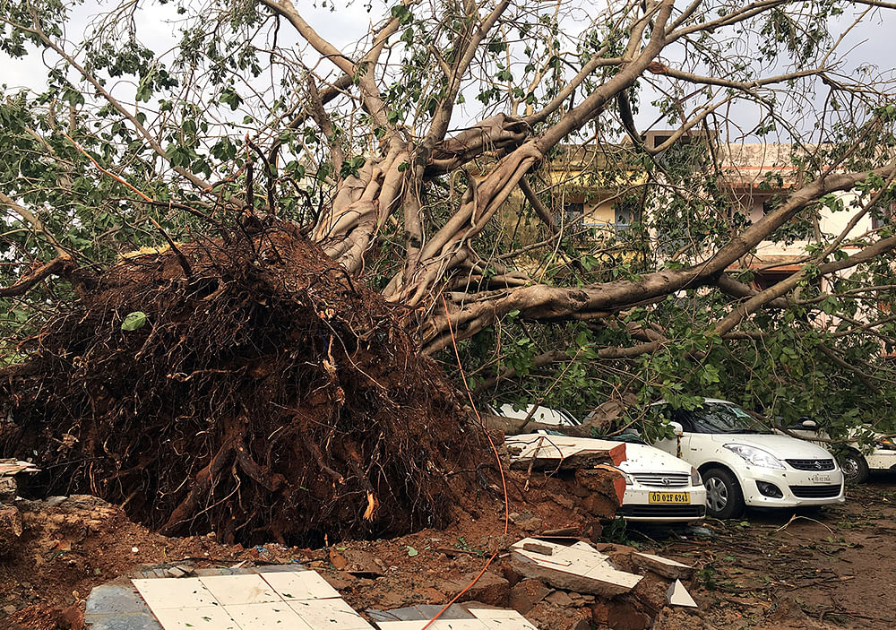 Cars are damaged by an uprooted tree in a residential area following Cyclone Fani in Bhubaneswar, capital of the eastern state of Odisha, India, 4 May, 2019. Photo: Reuters