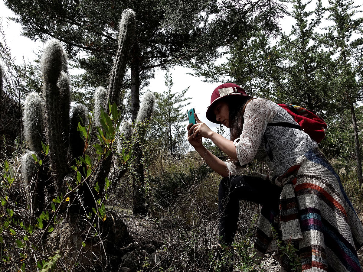 A student takes photographs of cactus in Auquisamana on the outskirts of La Paz, Bolivia, 29 April 2019. An app challenge has inspired La Paz residents to document biodiversity. Photo: Reuters