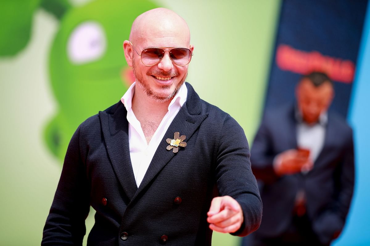 In this file photo taken on 27 April Pitbull attends STX Films World Premiere of `UglyDolls` at Regal Cinemas LA Live in Los Angeles. Photo: AFP
