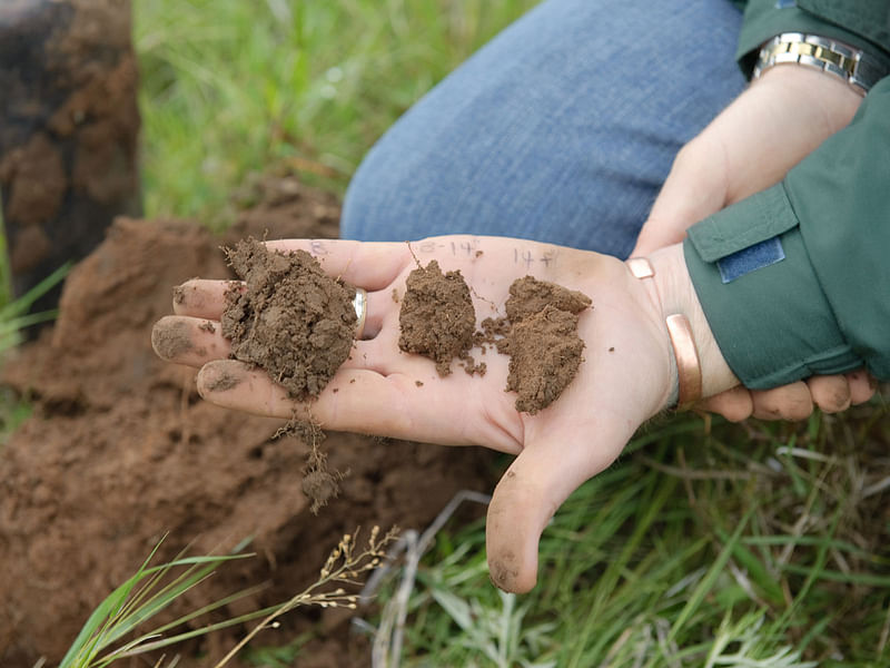 Scientist warn to stop soil erosion or to face starvation soon. Photo: Collected