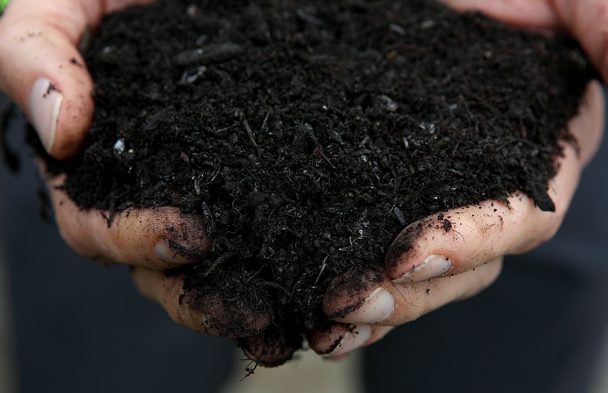 In this file photo taken on 10 December 2010, a Recology holds a hanful of compost made from collected compostable materials at the Recology transfer station in San Francisco, California. Washington on 21 May 2019 became the first US state to legalise human composting after its eco-friendly governor signed a bill to that effect in a bid to cut carbon emissions from burials and cremations. Photo: AFP