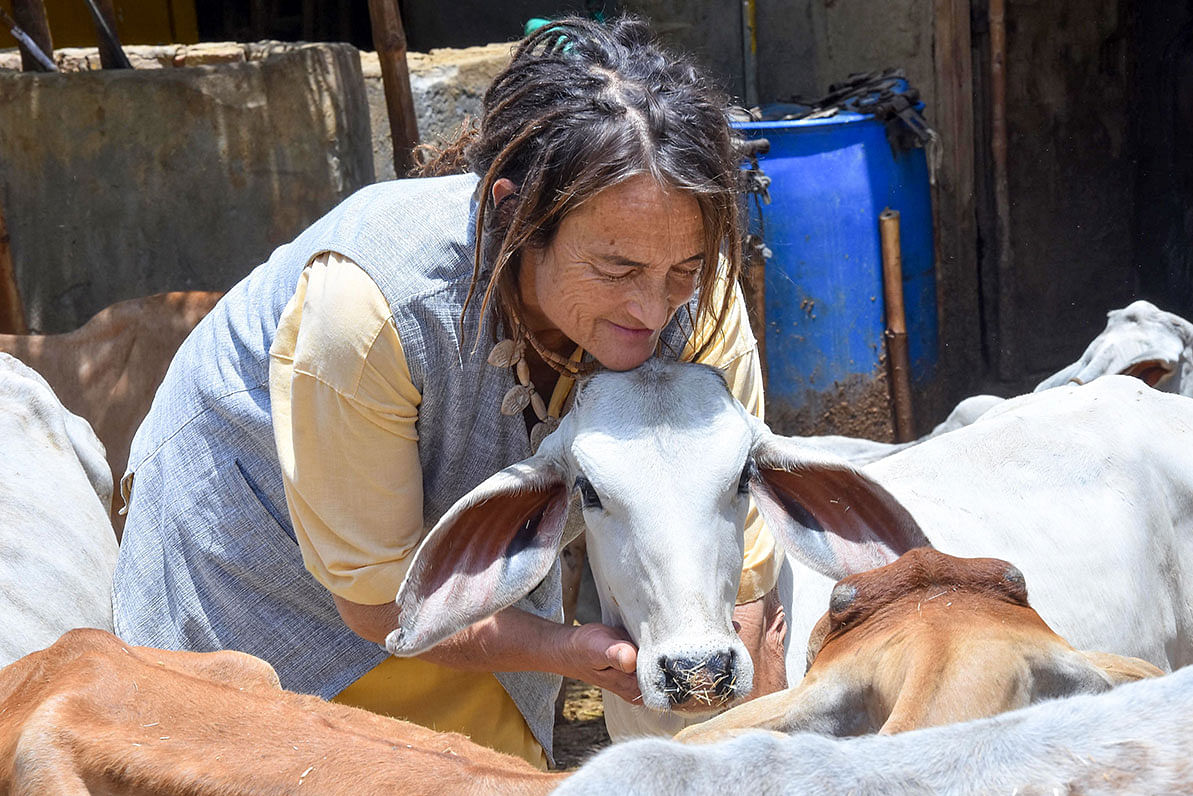German citizen Friederike Irina Bruning, 61, also known as Sudevi Mataji, embraces a cow at the cowshed at Radhakund village in Mathura district of Uttar Pradesh state on 27 May 2019. Photo: AFP