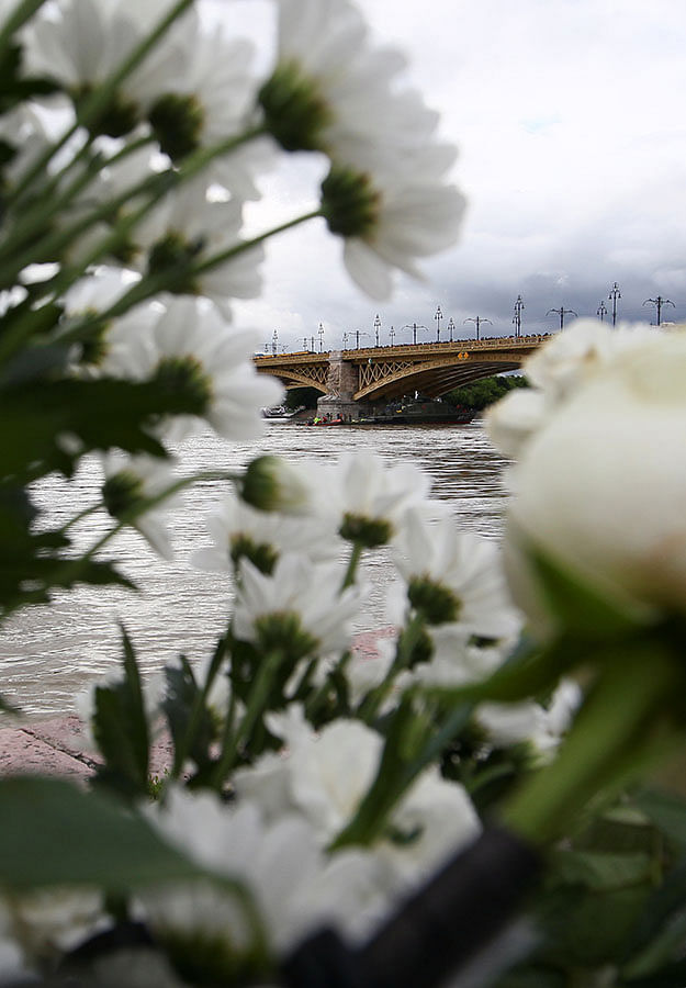 The site of a ship accident, which killed several people, is seen through the flowers, near Margaret Bridge on the Danube river in Budapest, Hungary, 30 May, 2019. Photo: Reuters