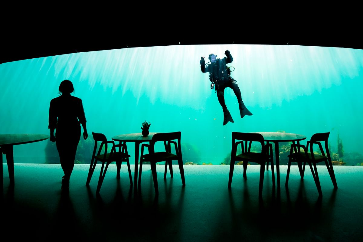 This file photo taken on 2 May 2019 shows a diver cleaning the outside of a viewing window of Under, a restaurant that is semi-submerged beneath the waters of the North Sea in Lindesnes near Kristiansand, some 400 km south west of Oslo. Photo: AFP