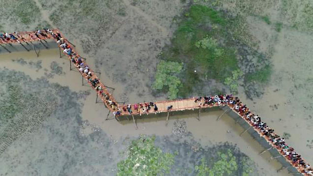 Bird’s eye view of Sheikh Fazilatunnesa wooden bridge in Nawabganj of Dinajpur. Photo: Collected