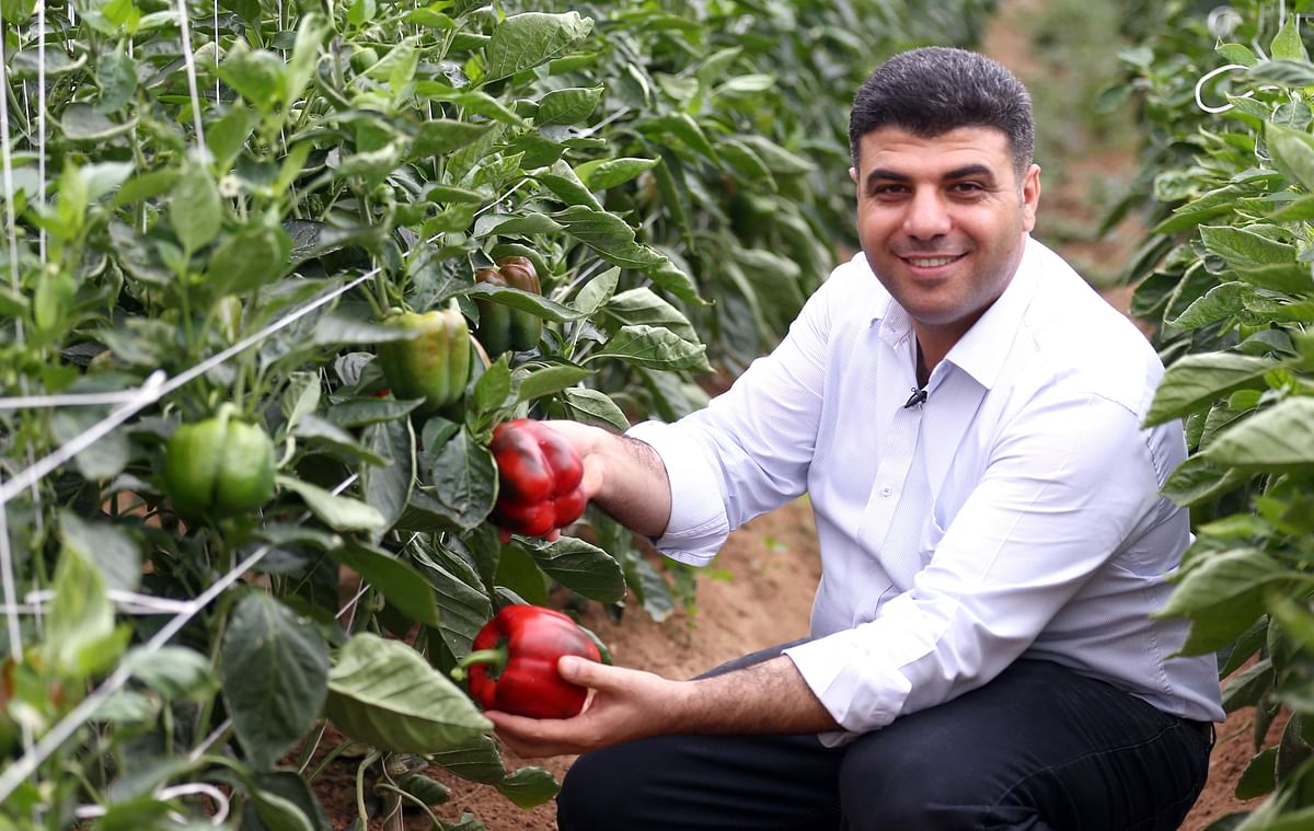 Nezar al-Atawneh, the operations manager at the Qatarat Agricultural Development Company (QADCO), shows two red peppers grown at the Umm Qarn Farm in the Qatari municipality of Al Daayen on 5 April 2019. Photo: AFP