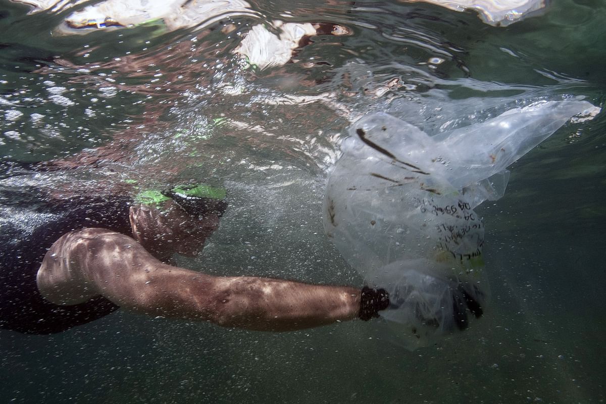 A swimmer collects a plastic bag in the sea on 30 May 2019 during the `Grand Defi` (big challenge), the first competition in picking up waste in Marseille coastline. Photo: AFP