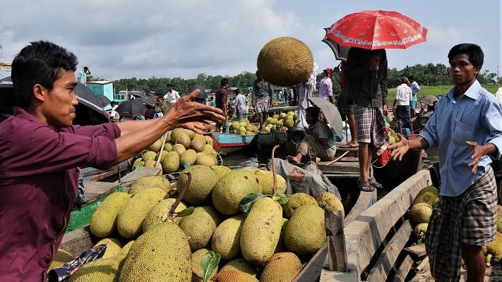 Jackfruit is in full season. Jacfruit producers have brought the fruit from the remote hills to Rangamati town to sell at the weekly bazaar. Photo: Supriya Chakma.