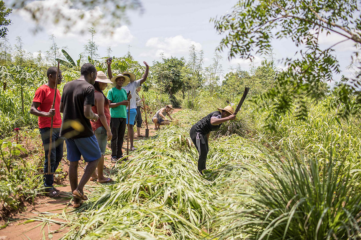 Participants to an `agro-bootcamp`, aimed at preparing young people for a future sustainably working the land, are seen cheer as a colleague uses a machete on a plant on 16 April 2019, in Tori-Bossito, just outside Benin`s economic capital Cotonou. Photo: AFP