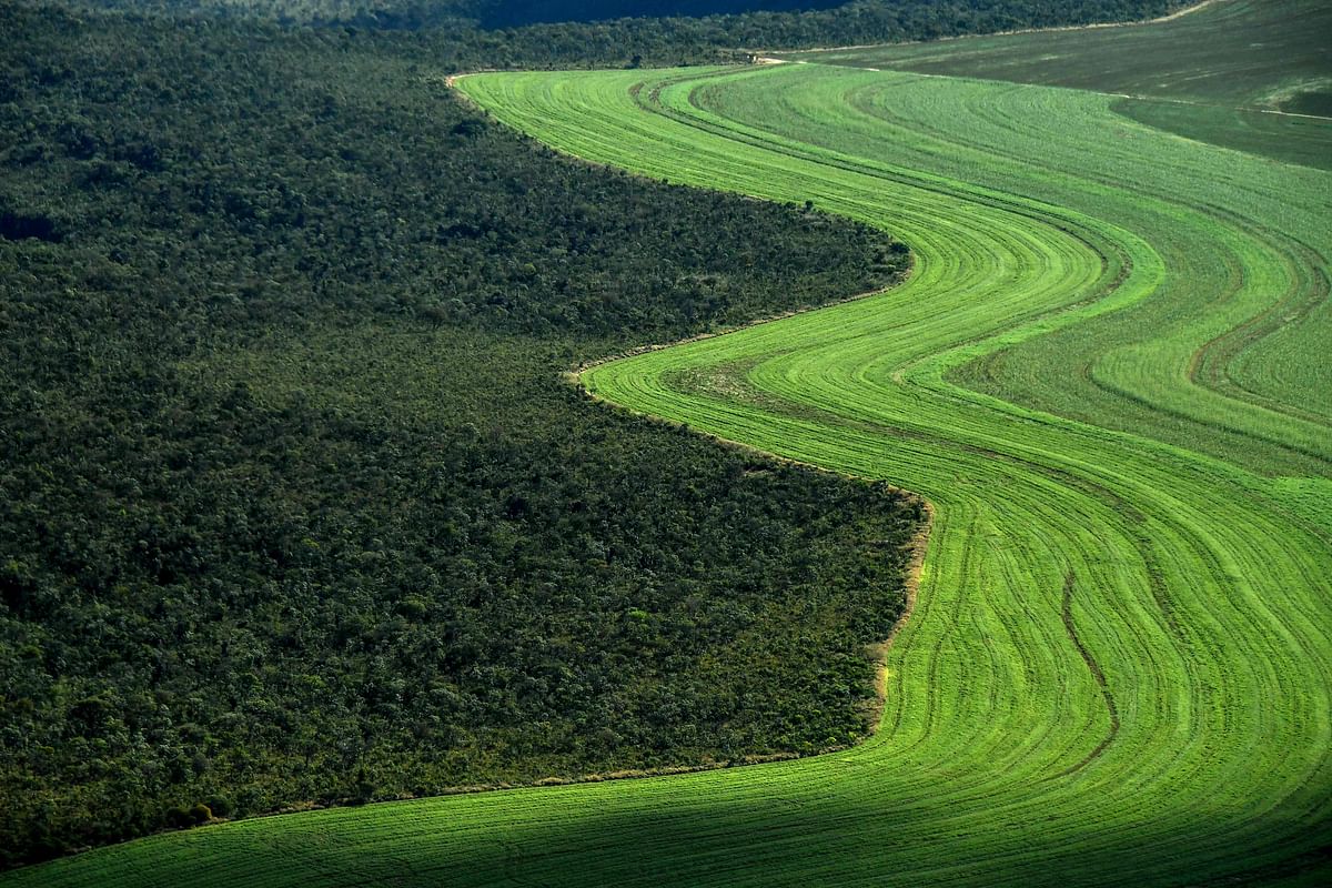 Aerial view taken on 29 May 2019 showing an agriculture field next to a native Cerrado (savanna) in Formosa do Rio Preto, western Bahia state. Photo: AFP