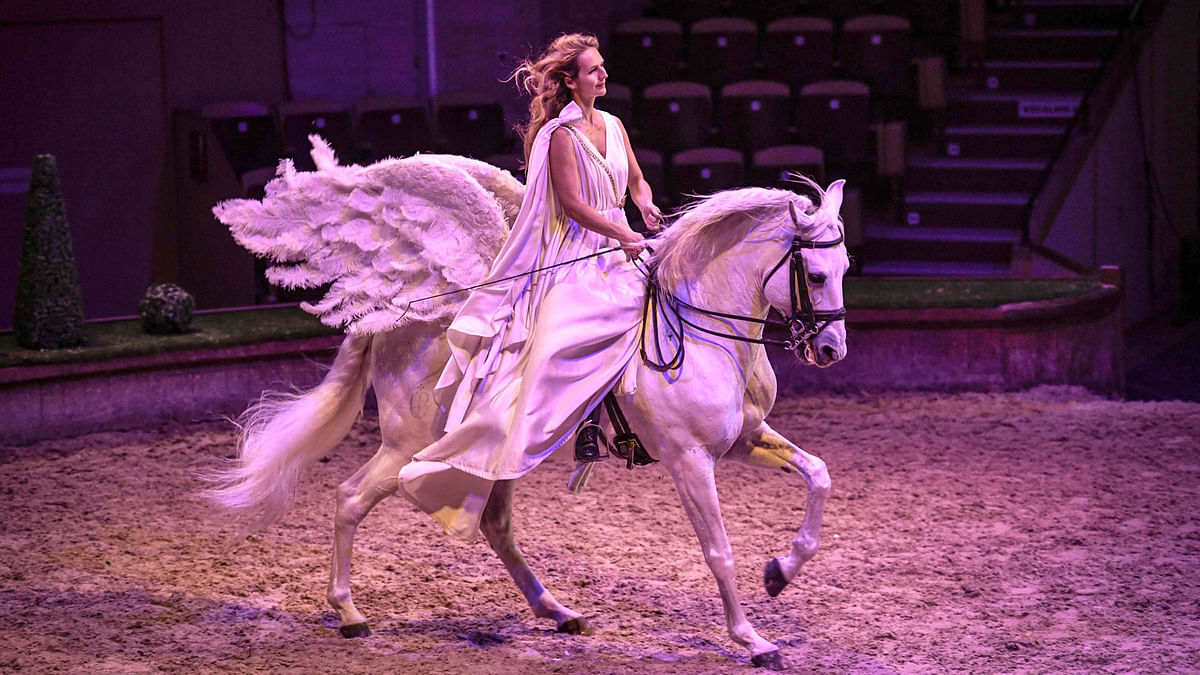 A rider performs on a horse with fake wings representing Pegasus during the rehearsal of their show at the Great Stables of Chantilly, north of Paris, on 18 June 2019. Photo: AFP