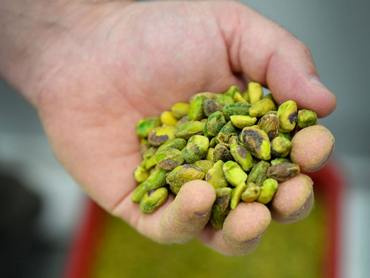An employee of the Provencal confectionery of Roy Rene holds pistachios in their hand, in Aix-en-Provence, southeastern France on 12 June. Photo: AFP