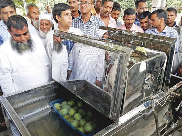 `Hot Water Treatment` device invented by BARI scientists put on display in Chapainawabganj`s Regional Horticulture Research Institute on 22 June, 2019. Photo: Prothom Alo