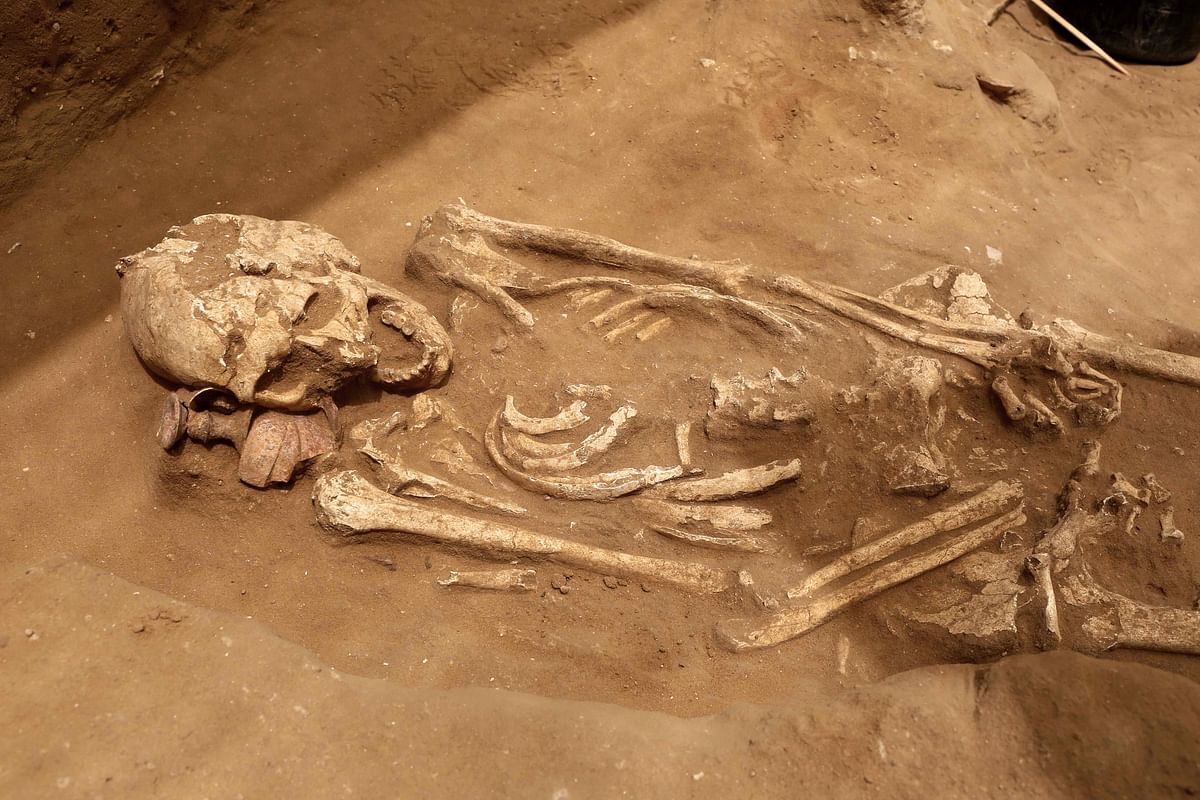 This file photo taken on 28 June 2016 in the Mediterranean coastal Israeli city of Ashkelon, shows a skeleton discovered at the excavation site of the first Philistine cemetery ever found. Photo: AFP