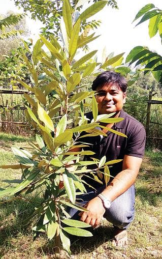 Mahbub Islam poses with the Sundari tree he grew in his garden. Photo: Prothom Alo