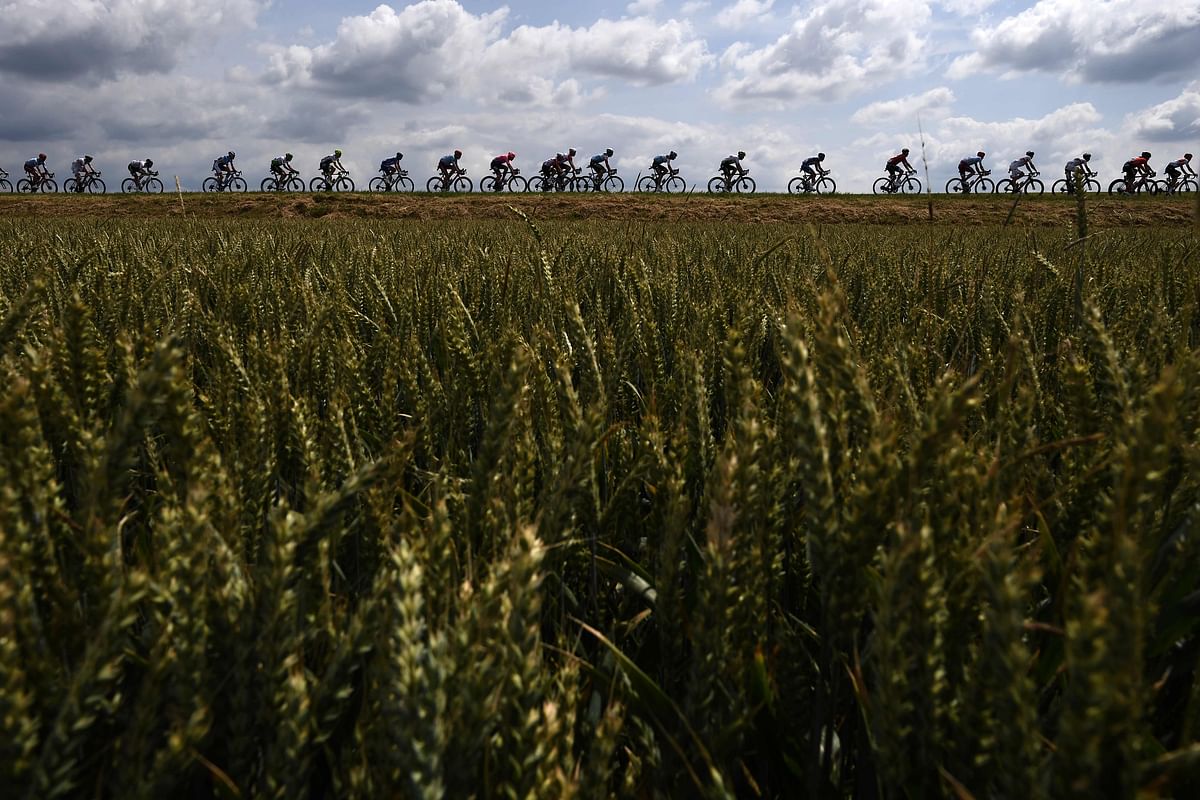 Cyclists ride in the countryside with wheat fields in foreground during the third stage of the 106th edition of the Tour de France cycling race between Binche and Epernay, Belgium, on 8 July, 2019. Photo: AFP