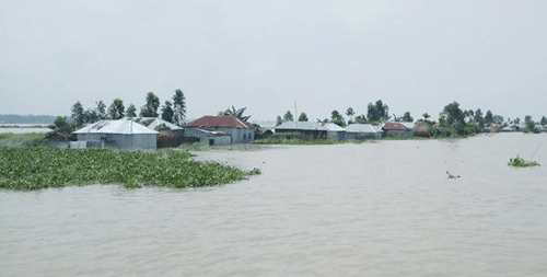 The situation of flood at Char Bhogobatipur in Kurigram on Monday. Photo: Prothom Alo
