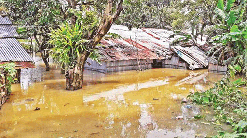 A flooded village in Moulvibazar Sadar’s Khalilpur union. Photo: Prothom Alo