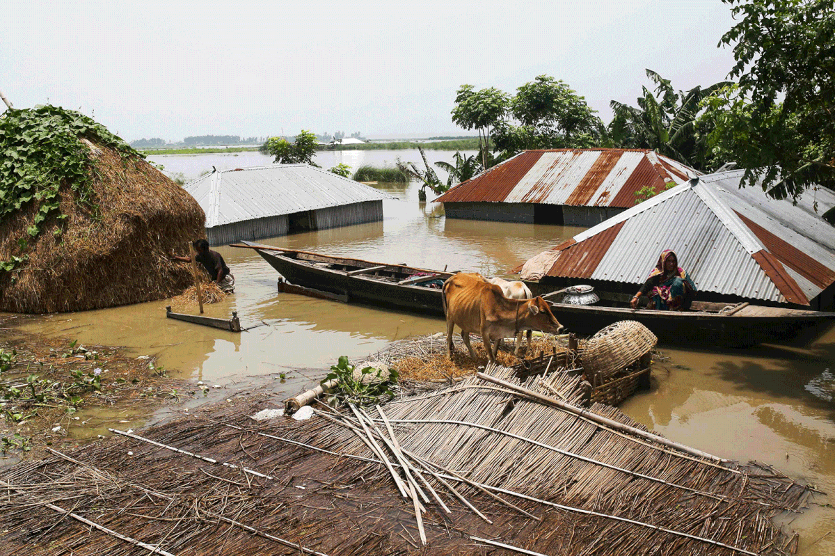A Bangladeshi resident sits on a canoe next to cattle standing on higher ground on a flooded area following heavy mosoon rains in Kurigram on 17 July 2019. Photo: AFP