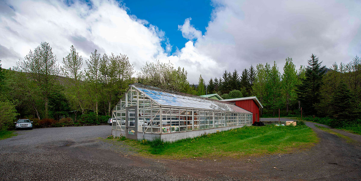 A greenhouse in Mogilsa Forest is pictured close to Reykjavik, Iceland on 21 May 2019. Before being colonised by the Vikings, Iceland was lush with forests but the fearsome warriors razed everything to the ground and the nation is now struggling to reforest the island. Photo: AFP