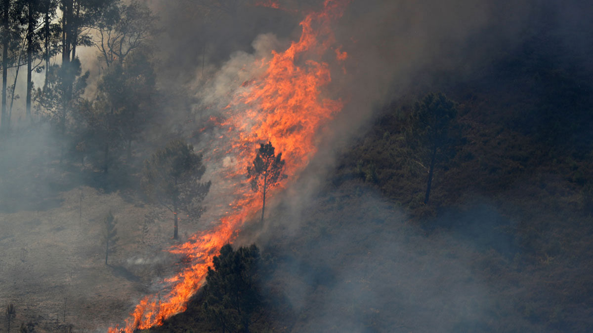 Flames of an approaching forest fire are seen near the small village of Gondomil, near Valenca, Portugal on 27 March. Photo: Photo: Reuters