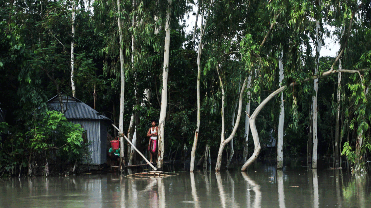 In this photograph taken on 25 July, 2019, a resident stands platform near a house in a flood affected area following monsoon rain in Kurigram district. Photo: AFP