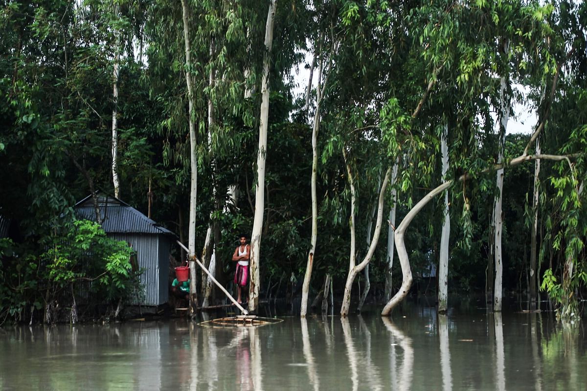 In this photograph taken on 25 July 2019, a resident stands platform near a house in a flood afected area following monsoon rain in Kurigram district. At least 104 people were killed in floods in Bangladesh as the low-lying delta country is reeling from one of the worst monsoons in years, officials said on 26 July. Photo: AFP