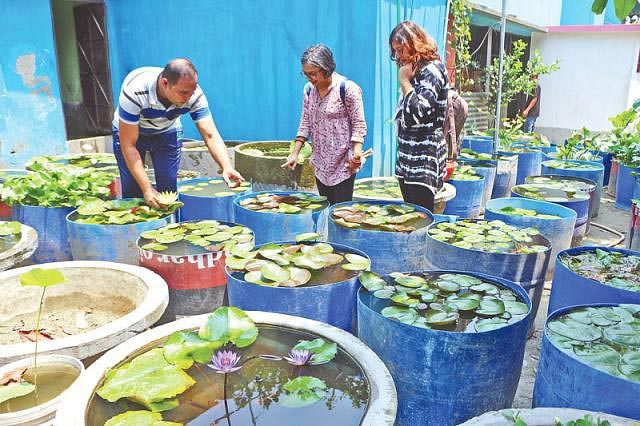 Raqibul Hasan shows his aquatic plants to visitors in Narayanganj recently. Photo: Prothom Alo