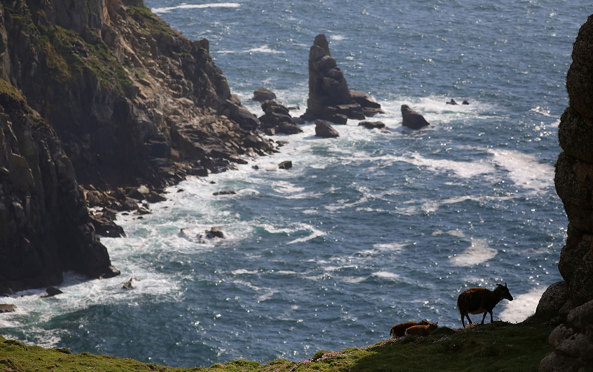 General view of the cliffs near Jenny`s Cove on Lundy, Britain, 18 May 2019. Photo: Reuters