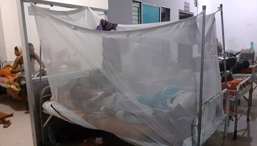 Dengue infected people are kept in mosquito curtain. Photo: UNB