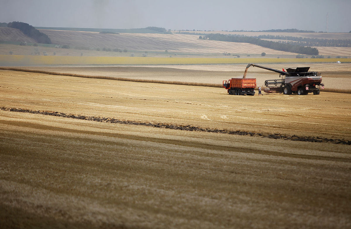 A combine harvests wheat in a field near the village of Kamennobrodskaya in Stavropol region, Russia on 4 July 2019. Reuters File Photo