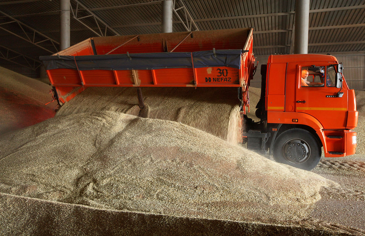 A driver unloads a truck at a grain store during wheat harvesting in the village of Kamennobrodskaya in Stavropol region, Russia on 4 July 2019. Reuters File Photo
