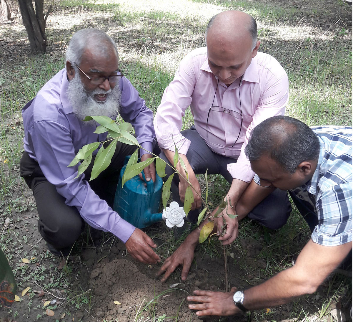 Bangladesh Society of Radiology and Imaging (BSRI) recently organised a tree plantation campaign at Dhaka Medical College Hospital with the motto ‘Plant a tree, save the planet’.