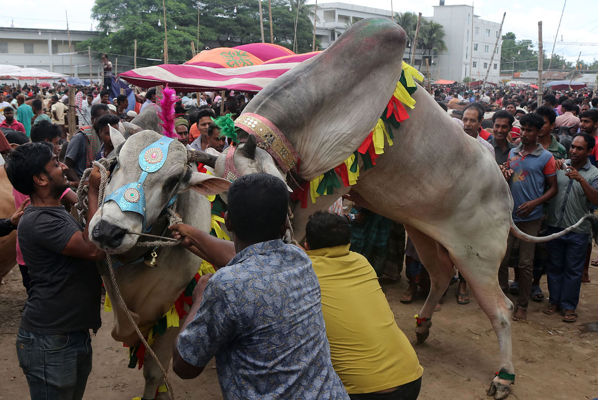 The owners of a bull are trying to pacify a rogue bull at the market.