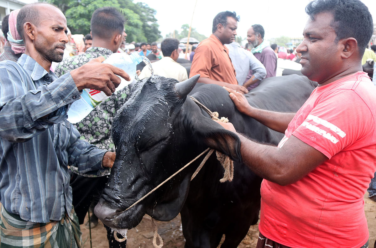 A customer is pouring water to cool off a bull.