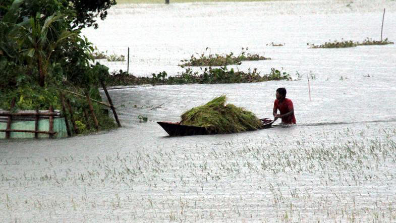 A farmer returns home with some crops on his boat from a flooded rice field in Makinganj Sadar on 25 July, 2019. Photo: Abdul Momin