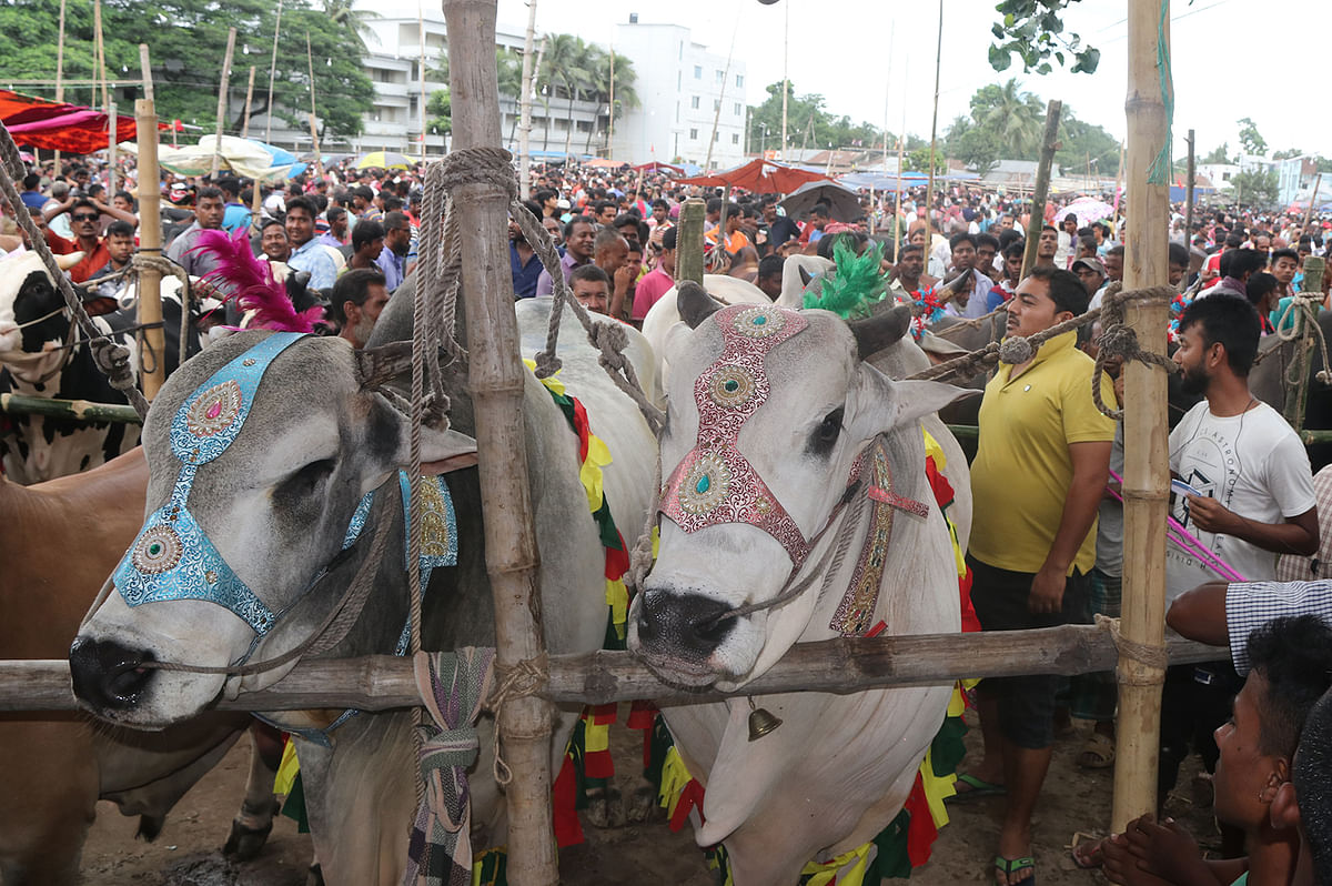 The bulls are decorated to draw attention of the customers.