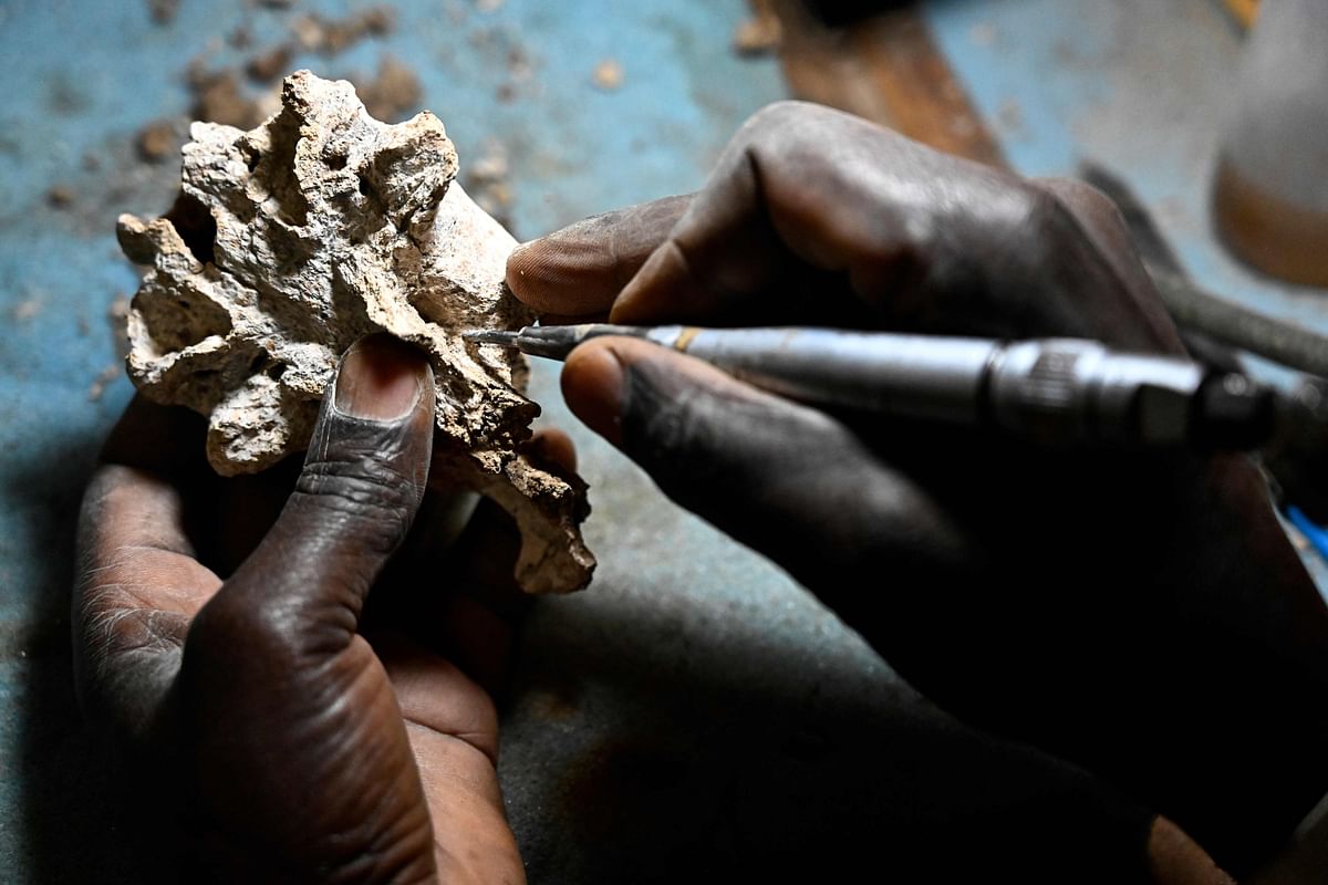 Museum staffer Blasto Onyango prepares a fossil for storage at the paleontology department of the Nairobi National Museum, in Nairobi on 23 May 2019. Photo: AFP