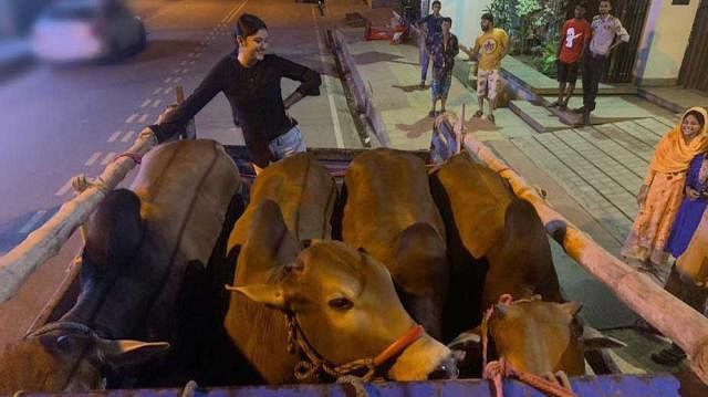 Porimoni with a truckload of cows for her needy co-artistes