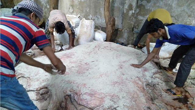 Workers apply salt to preserve rawhide. Prothom Alo File Photo