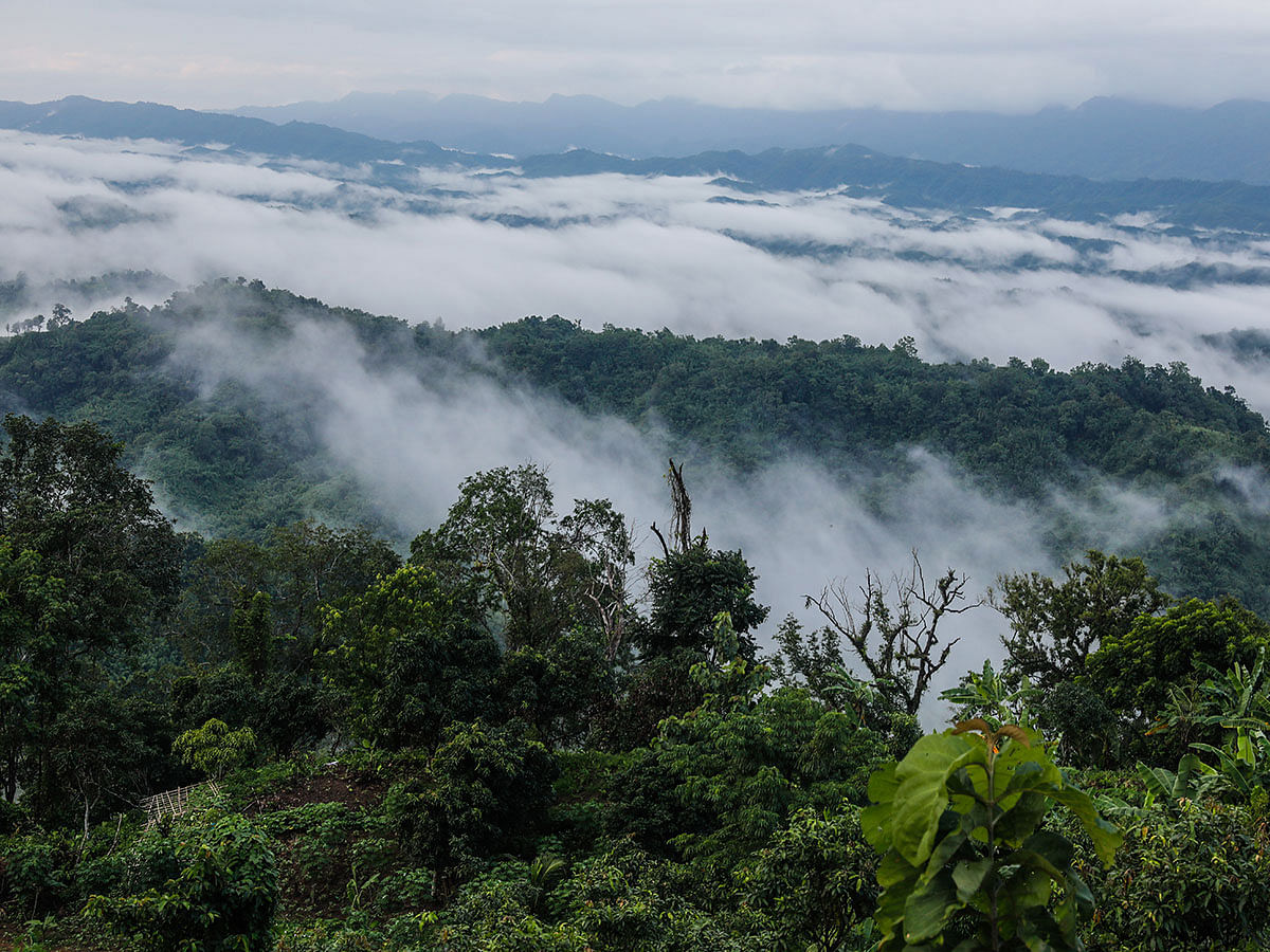 Clouds are seen at the hills of Sajek valley, Rangamati on 9 August 2019. Photo: Dipu Malakar